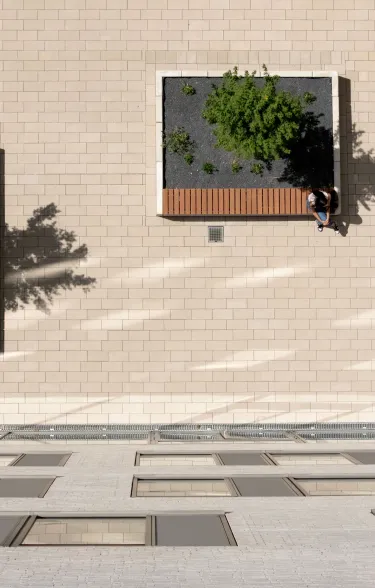 Gymnasium Brügelmannstrasse from above